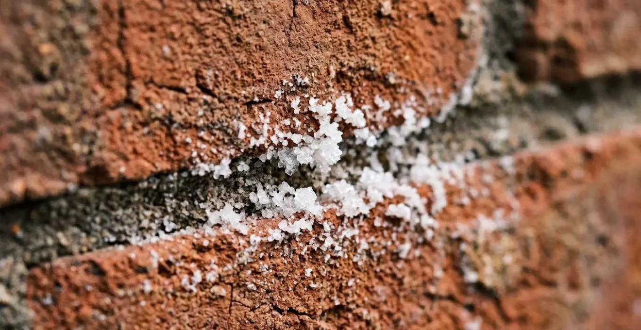 Extreme close-up of white crystalline efflorescence deposits on historic brick masonry surface